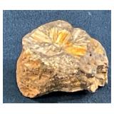 Polished and Raw Stone Set Featuring Golden and Bl