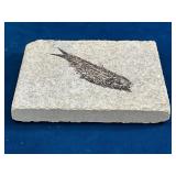 Fossil Pair with Fish on Limestone and Trilobite o