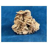 Desert Rose Gypsum Mineral Specimen