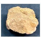 Unidentified Rock Specimen with Textured Surface