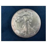 2013 American Silver Eagle .999 Fine Silver Coin
