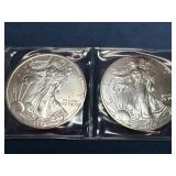 American Silver Eagle Coins, 1 oz Fine Silver, Dat