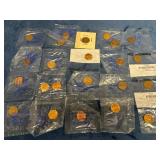 23 Indian Head and Lincoln Wheat Pennies in Protec