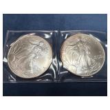 2006 American Silver Eagle Coins, Set of Two, 1 oz