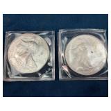 2001 and 2008 American Silver Eagle Coins in Prote
