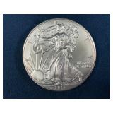 2013 1 Troy Ounce .999 Fine Silver American Eagle