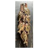 Mounted Stringer of Taxidermy Fish on Rustic Woode