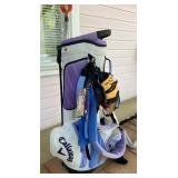 Complete Women's Golf Set with Taylormade, Ping, a