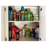 Two-Shelf Cabinet Housing Cleaning Supplies, Bug S