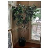 Large Faux Ficus Tree in Black Ceramic Pot