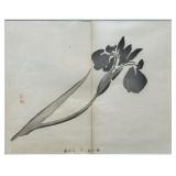 Framed Brush Painting Print of an Iris by Gyokusho