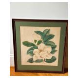 Framed Watercolor of a Magnolia Blossom by T. Howe