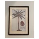 Framed Engraving Depicting a Palm Tree with a Roya