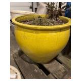 Yellow Ceramic Glazed Planter with Crackle Finish