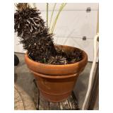 Terracotta Planter with Potted Plant