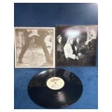 The Del Fuegos Vinyl Record, 