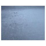Automobile Surface with Light Dusting