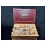 Joan Rivers Classics Collection Insect-Themed Pins