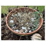 Large Terra Cotta Planter With Rocks