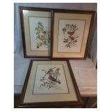 3 Framed Anne Worsham Richardson Bird prints