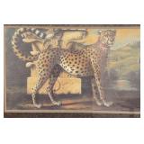 Robert Dandini Signed Cheetah Print Framed Art