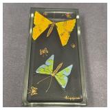Higgins Glass Box with Fused Butterfly Lid