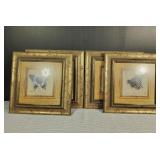 Butterfly Diary Framed Pictures