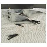 Dove Decoys