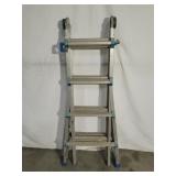 Cosco Multi-Position Ladder