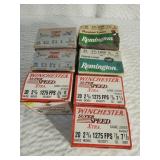 Assorted Shotgun Shells