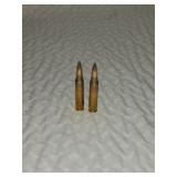 Twenty-Two Rounds of .223 Ammo