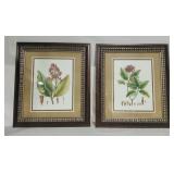Wooden Framed Botanical Prints