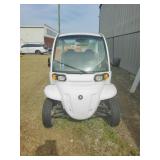 Electric Golf Cart/Utility Vehicle