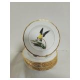 Vintage Spode ' The American Goldfish' Plates
