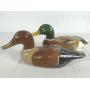 Model Ducks