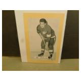 Alex Delvecchio Group II Bee Hive Photo