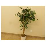 Decorative artificial tree  69 in tall