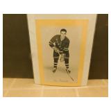 Lou Fontinato Bee Hive Photo