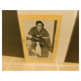 Terry Sawchuck Bee Hive Photo