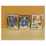 2018-19 Elias Pettersson rookie lot