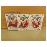 2021-22 Red Wings Ice Rookie Lot