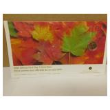 2005 Royal Canadian Mint First Day Issue Coin Set