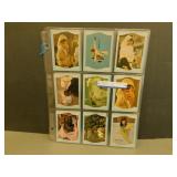 31 - 1968 Flying Nun TV Series Collector Cards