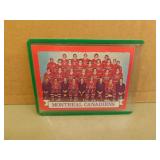 1973-74 OPC montreal Canadiens #100 Team Card