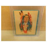 1933  Papoose #18 White Shield Gum Series Card