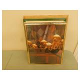 Picture frames various sizes