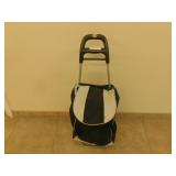 Portable grocery cart  12X12X40