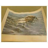 Polar crossing  Lawrence Dyer 81/100