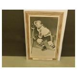 Bobby Hull Bee Hive Photo