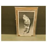 Pierre Pilote Bee Hive Photo